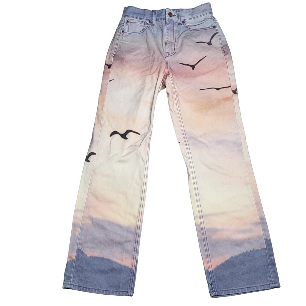 BDG Straight Leg Jeans in Sunset Pastel Print with Black Seagulls